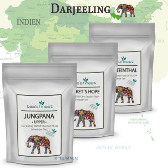 Schwarzer Tee Darjeeling* Second Flush Probierset 3 x 50 Gramm