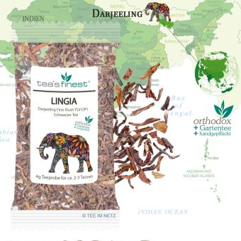 tea`s finest® Darjeeling* Lingia First Flush TGFOP1 4 Gramm