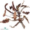 Artikelbild 2 des Artikels “tea`s finest Formosa Superior Oolong Black Dragon 250 Gramm“