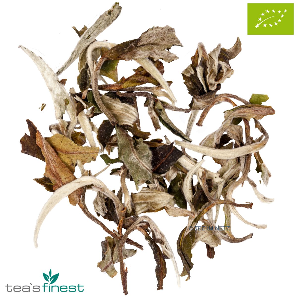Artikelbild 2 des Artikels “tea`s finest Weißer China Pai Mu Tan - BIO 100 Gramm“